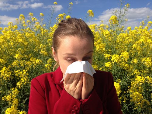 Woman with tissue, sneezing outdoors in a field of yellow flowers.